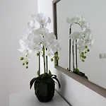 Rocha Prime Portimão