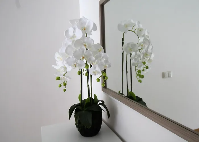 Rocha Prime Portimão